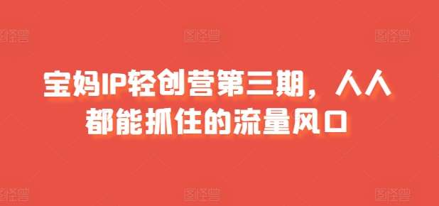 宝妈IP轻创营第三期,人人都能抓住的流量风口网创吧-网创项目资源站-副业项目-创业项目-搞钱项目网创吧