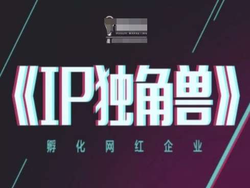 IP独角兽,孵化网红企业,ip教程网创吧-网创项目资源站-副业项目-创业项目-搞钱项目网创吧