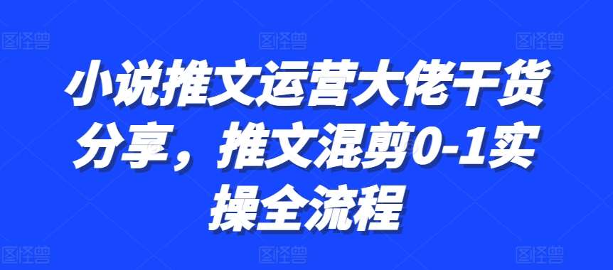小说推文运营大佬干货分享,推文混剪0-1实操全流程网创吧-网创项目资源站-副业项目-创业项目-搞钱项目网创吧