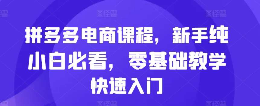 拼多多电商课程,新手纯小白必看,零基础教学快速入门网创吧-网创项目资源站-副业项目-创业项目-搞钱项目网创吧