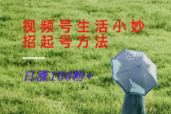 视频号生活小妙招分享赛道, 起号涨粉新方法,日涨100粉网创吧-网创项目资源站-副业项目-创业项目-搞钱项目网创吧