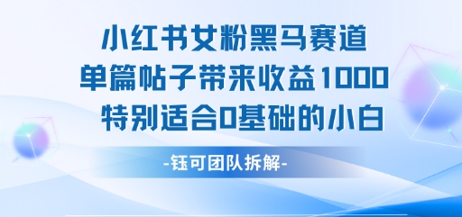 小红书女粉黑马赛道单篇帖子带来收益1k+,特别适合0基础的小白网创吧-网创项目资源站-副业项目-创业项目-搞钱项目网创吧