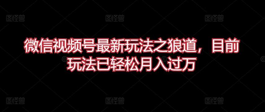 微信视频号最新玩法之狼道,目前玩法已轻松月入过万【揭秘】网创吧-网创项目资源站-副业项目-创业项目-搞钱项目网创吧