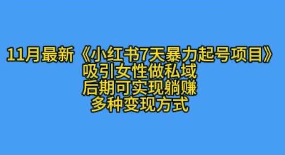 K总部落11月最新小红书7天暴力起号项目,吸引女性做私域【揭秘】网创吧-网创项目资源站-副业项目-创业项目-搞钱项目网创吧