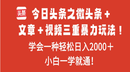 今日头条之微头条+文章+视频三重暴力玩法,学会一种轻松日入2000+网创吧-网创项目资源站-副业项目-创业项目-搞钱项目网创吧