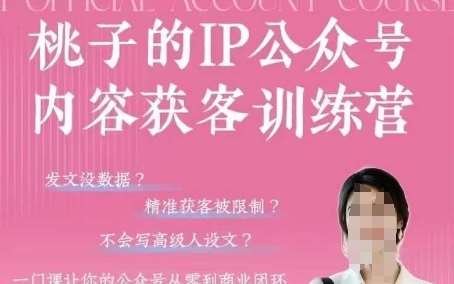 桃子IP公众号内容获客训练营(第3期),一门让你公众号从0到商业闭环的课程网创吧-网创项目资源站-副业项目-创业项目-搞钱项目网创吧