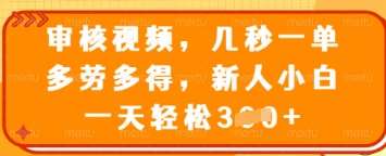 审核视频,几秒一单,多劳多得,新人小白一天轻松3张【揭秘】网创吧-网创项目资源站-副业项目-创业项目-搞钱项目网创吧