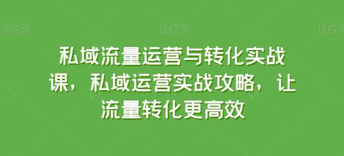 私域流量运营与转化实战课,私域运营实战攻略,让流量转化更高效网创吧-网创项目资源站-副业项目-创业项目-搞钱项目网创吧