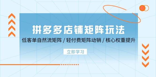 (12720期)拼多多店铺矩阵玩法:低客单自然流矩阵 / 轻付费矩阵 动销 / 核心权重提升网创吧-网创项目资源站-副业项目-创业项目-搞钱项目网创吧