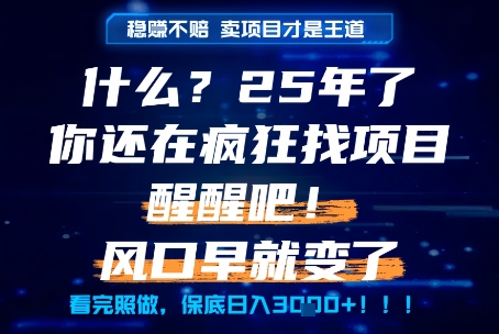 什么?25年你还在疯狂找项目做,醒醒吧,看完这些你全都懂了!【揭秘】网创吧-网创项目资源站-副业项目-创业项目-搞钱项目网创吧
