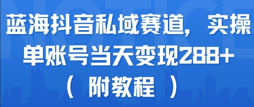 蓝海抖音私域赛道,实操单账号当天变现288+(附教程)网创吧-网创项目资源站-副业项目-创业项目-搞钱项目网创吧
