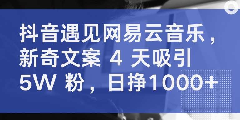 抖音遇见网易云音乐,新奇文案 4 天吸引 5W 粉,日挣1000+【揭秘】网创吧-网创项目资源站-副业项目-创业项目-搞钱项目网创吧