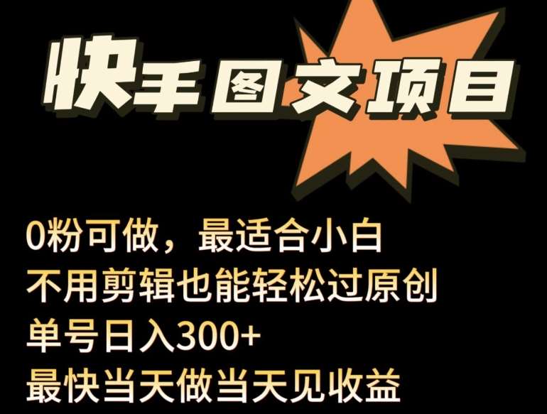 24年最新快手图文带货项目,零粉可做,不用剪辑轻松过原创单号轻松日入300+【揭秘】网创吧-网创项目资源站-副业项目-创业项目-搞钱项目网创吧