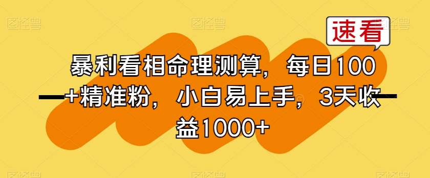 暴利看相命理测算,每日100+精准粉,小白易上手,3天收益1000+【揭秘】网创吧-网创项目资源站-副业项目-创业项目-搞钱项目网创吧