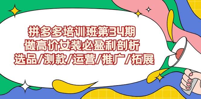 (9333期)拼多多培训班第34期:做高价女装必盈利剖析 选品/测款/运营/推广/拓展网创吧-网创项目资源站-副业项目-创业项目-搞钱项目网创吧
