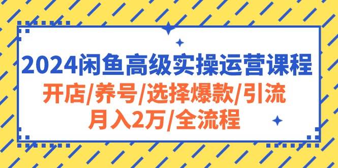 （10711期）2024闲鱼高级实操运营课程：开店/养号/选择爆款/引流/月入2万/全流程网创吧-网创项目资源站-副业项目-创业项目-搞钱项目网创吧