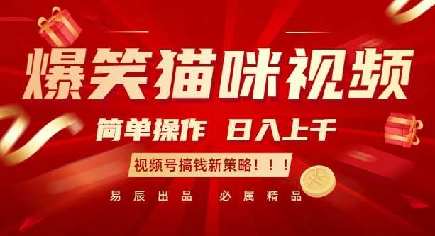 爆笑猫咪视频:简单操作,日入过K,视频号搞钱新策略【揭秘】网创吧-网创项目资源站-副业项目-创业项目-搞钱项目网创吧