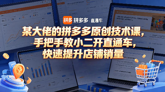 某大佬的拼多多原创技术课,手把手教小二开直通车,快速提升店铺销量网创吧-网创项目资源站-副业项目-创业项目-搞钱项目网创吧