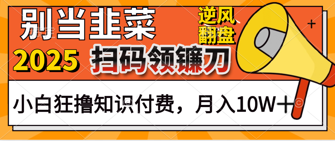 2025别当韭菜!扫码领镰刀!小白狂撸知识付费月入10W+网创吧-网创项目资源站-副业项目-创业项目-搞钱项目网创吧