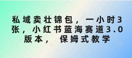 私域卖壮锦包,一小时3张,小红书蓝海赛道3.0版本, 保姆式教学网创吧-网创项目资源站-副业项目-创业项目-搞钱项目网创吧