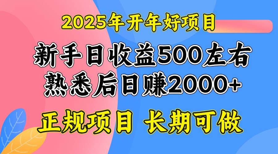 (14076期)2025开年好项目,单号日收益2000左右网创吧-网创项目资源站-副业项目-创业项目-搞钱项目网创吧