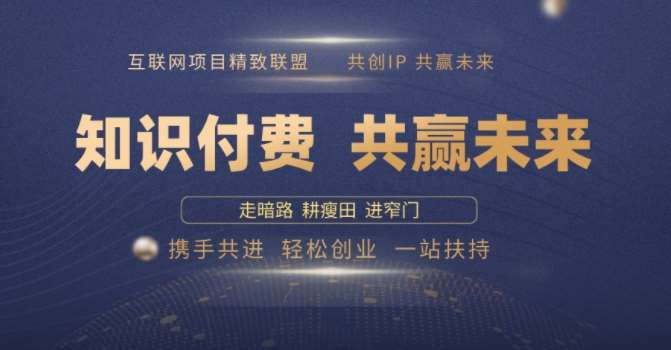 别人苦寻无果,为何他们靠知识付费卖项目 2025 年轻松年入100个?【揭秘】网创吧-网创项目资源站-副业项目-创业项目-搞钱项目网创吧