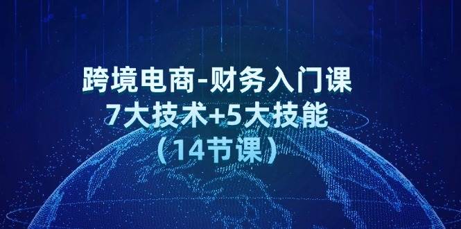 (12047期)跨境电商-财务入门课:7大技术+5大技能(14节课)网创吧-网创项目资源站-副业项目-创业项目-搞钱项目网创吧