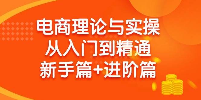 (9576期)电商理论与实操从入门到精通 新手篇+进阶篇网创吧-网创项目资源站-副业项目-创业项目-搞钱项目网创吧
