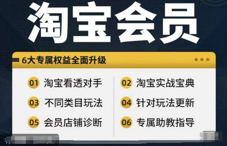 淘宝会员【淘宝所有课程,全面分析对手】,初级到高手全系实战宝典网创吧-网创项目资源站-副业项目-创业项目-搞钱项目网创吧