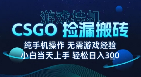 8月最新游戏搬砖,CSGO纯挂G,不需要玩游戏,实现真挂G,月入1W+【揭秘】网创吧-网创项目资源站-副业项目-创业项目-搞钱项目网创吧
