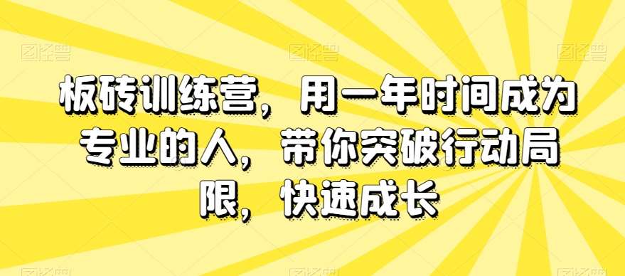 板砖训练营,用一年时间成为专业的人,带你突破行动局限,快速成长网创吧-网创项目资源站-副业项目-创业项目-搞钱项目网创吧