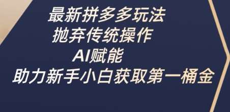 最新拼多多玩法,抛弃传统操作,AI赋能,助力新手小白获取第一桶金网创吧-网创项目资源站-副业项目-创业项目-搞钱项目网创吧