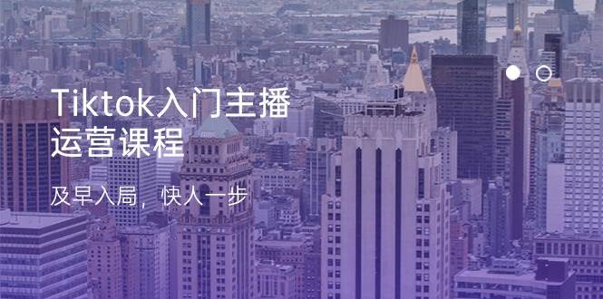 (11045期)Tiktok入门主播运营课程,及早入局,快人一步(11节)网创吧-网创项目资源站-副业项目-创业项目-搞钱项目网创吧