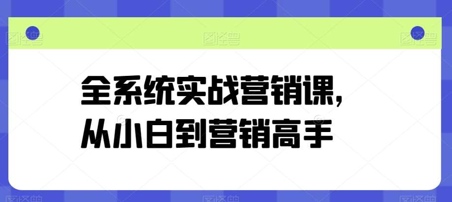 全系统实战营销课,从小白到营销高手网创吧-网创项目资源站-副业项目-创业项目-搞钱项目网创吧