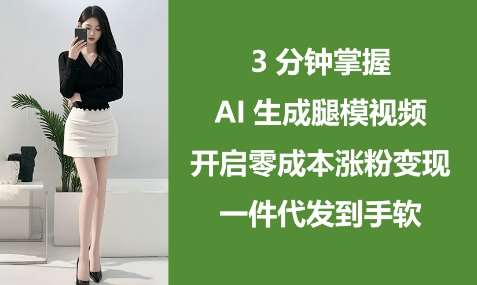 3分钟掌握AI生成腿模视频,开启零成本涨粉变现,一件代发到手软网创吧-网创项目资源站-副业项目-创业项目-搞钱项目网创吧