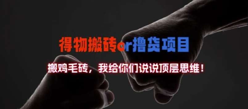 得物搬砖撸货项目?掰下数据，我给你们说说顶层思维【揭秘】网创吧-网创项目资源站-副业项目-创业项目-搞钱项目网创吧
