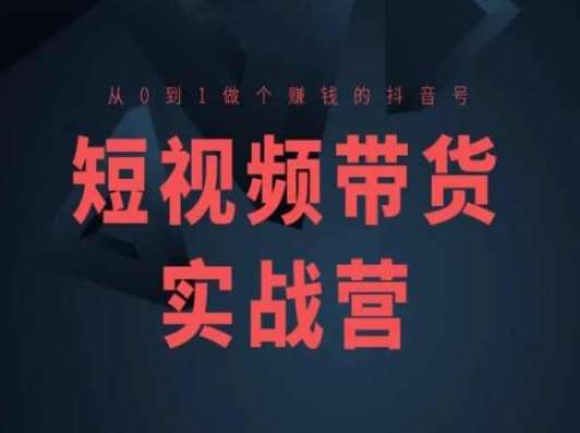 短视频带货实战营(高阶课),从0到1做个赚钱的抖音号网创吧-网创项目资源站-副业项目-创业项目-搞钱项目网创吧