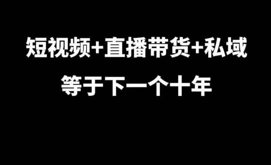 短视频+直播带货+私域等于下一个十年,大佬7年实战经验总结网创吧-网创项目资源站-副业项目-创业项目-搞钱项目网创吧