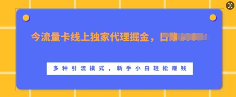 流量卡线上独家代理掘金，日入1k+ ，多种引流模式，新手小白轻松上手【揭秘】网创吧-网创项目资源站-副业项目-创业项目-搞钱项目网创吧