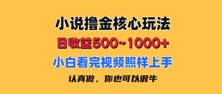 (11461期)小说撸金核心玩法,日收益500-1000+,小白看完照样上手,0成本有手就行网创吧-网创项目资源站-副业项目-创业项目-搞钱项目网创吧