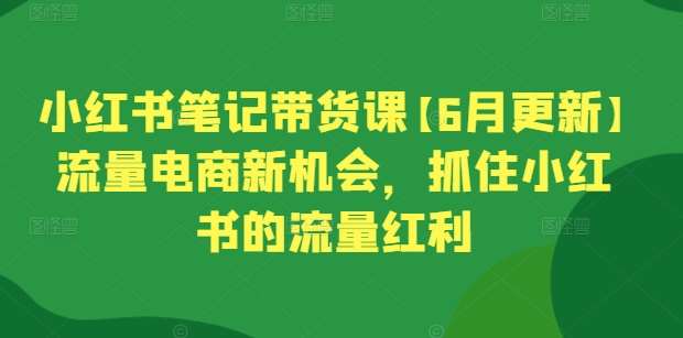 小红书笔记带货课【6月更新】流量电商新机会,抓住小红书的流量红利网创吧-网创项目资源站-副业项目-创业项目-搞钱项目网创吧