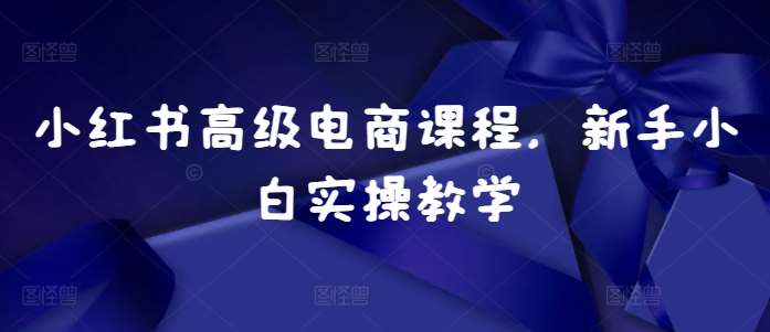 小红书高级电商课程,新手小白实操教学网创吧-网创项目资源站-副业项目-创业项目-搞钱项目网创吧