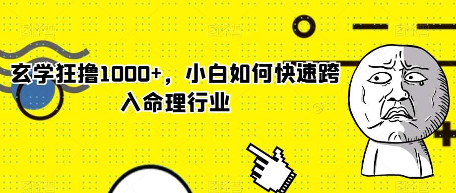 玄学狂撸1000+,小白如何快速跨入命理行业【揭秘】网创吧-网创项目资源站-副业项目-创业项目-搞钱项目网创吧