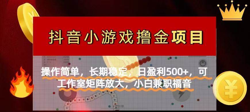 (14290期)【抖音小游戏发行人计划项目】操作简单,长期稳定,日盈利500+,可工作...网创吧-网创项目资源站-副业项目-创业项目-搞钱项目网创吧