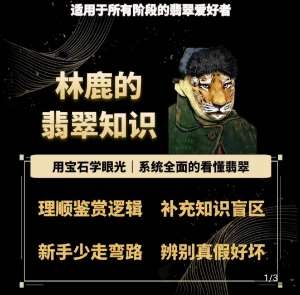 林鹿的翡翠知识,用宝石眼光,系统全面的看懂翡翠网创吧-网创项目资源站-副业项目-创业项目-搞钱项目网创吧