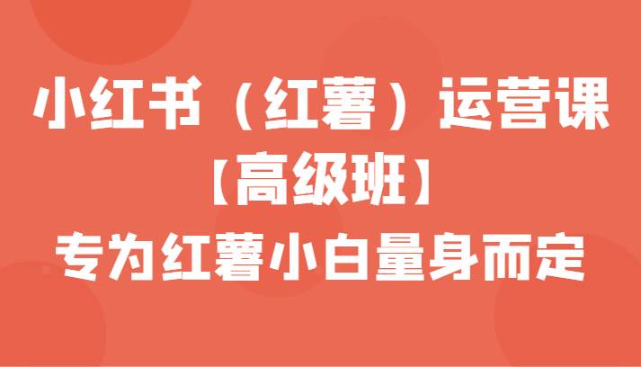小红书(红薯)运营课【高级班】,专为红薯小白量身而定(42节课)网创吧-网创项目资源站-副业项目-创业项目-搞钱项目网创吧