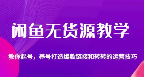 闲鱼无货源教学,教你起号,养号打造爆款链接以及转转的运营技巧网创吧-网创项目资源站-副业项目-创业项目-搞钱项目网创吧