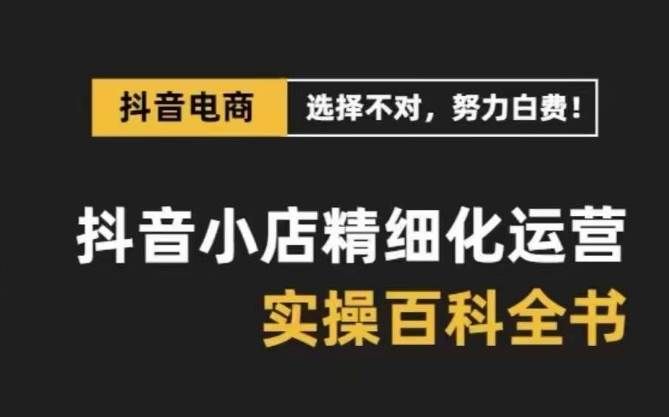 (8380期)抖音小店 精细化运营-百科全书,保姆级运营实战讲解(28节课)网创吧-网创项目资源站-副业项目-创业项目-搞钱项目网创吧