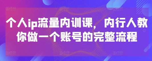 个人ip流量内训课,内行人教你做一个账号的完整流程网创吧-网创项目资源站-副业项目-创业项目-搞钱项目网创吧