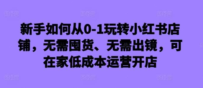 新手如何从0-1玩转小红书店铺,无需囤货、无需出镜,可在家低成本运营开店网创吧-网创项目资源站-副业项目-创业项目-搞钱项目网创吧